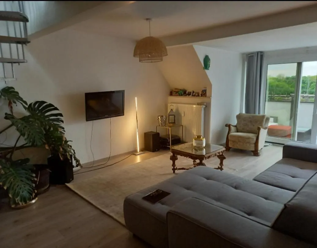 Private Loft Dusseldorf Apartment