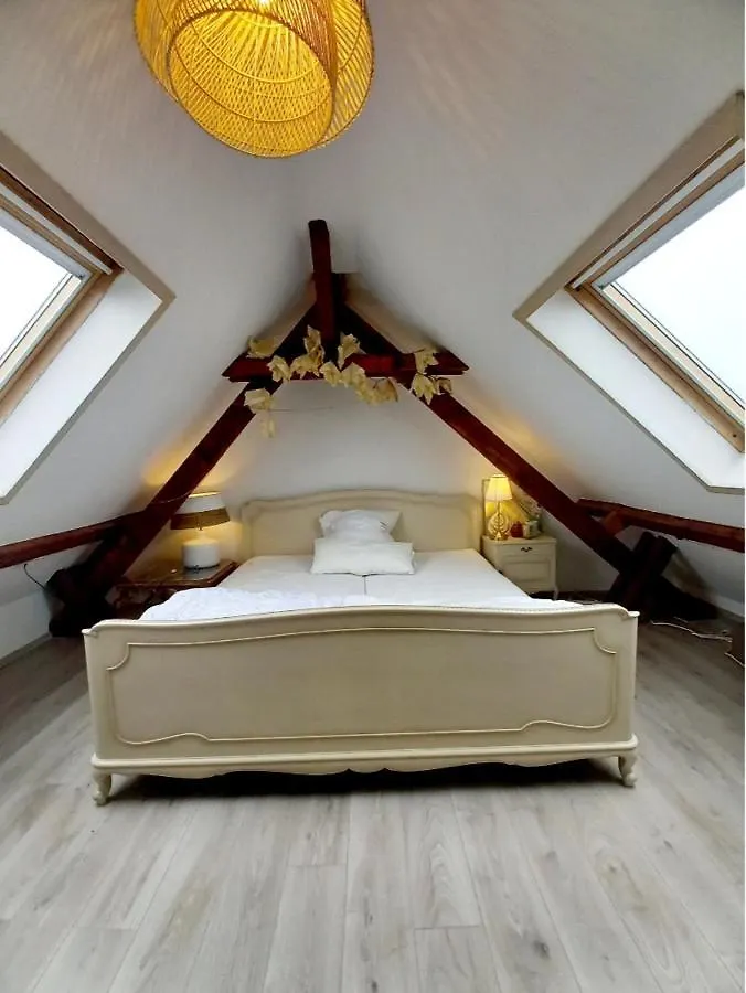 Private Loft Dusseldorf Apartment 0*,