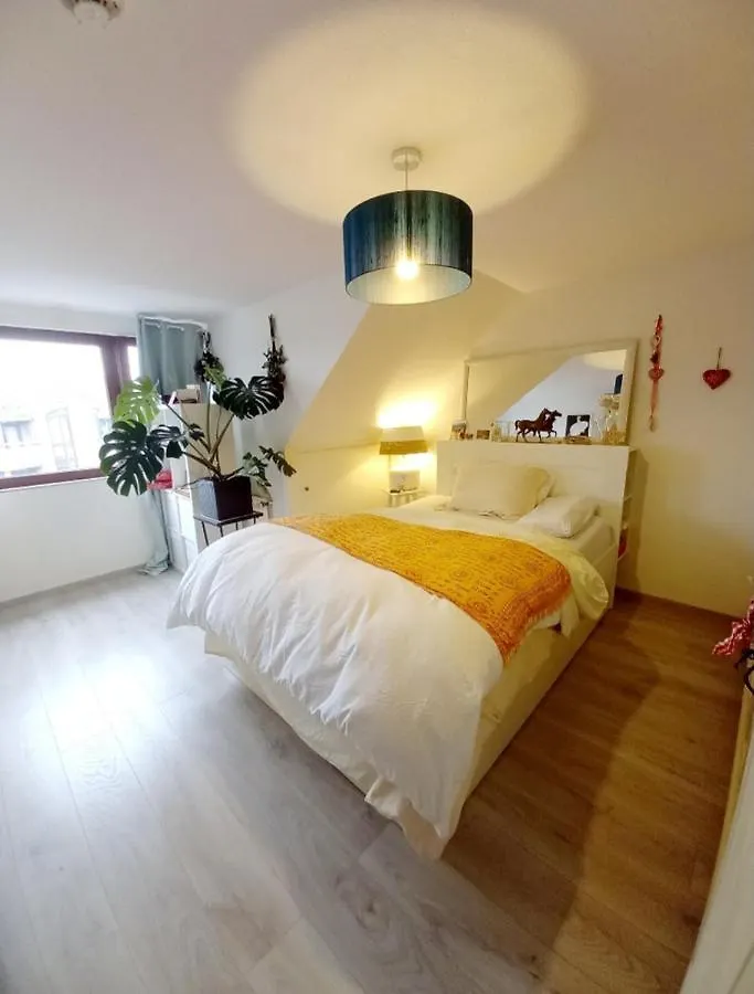 Private Loft Dusseldorf Apartment