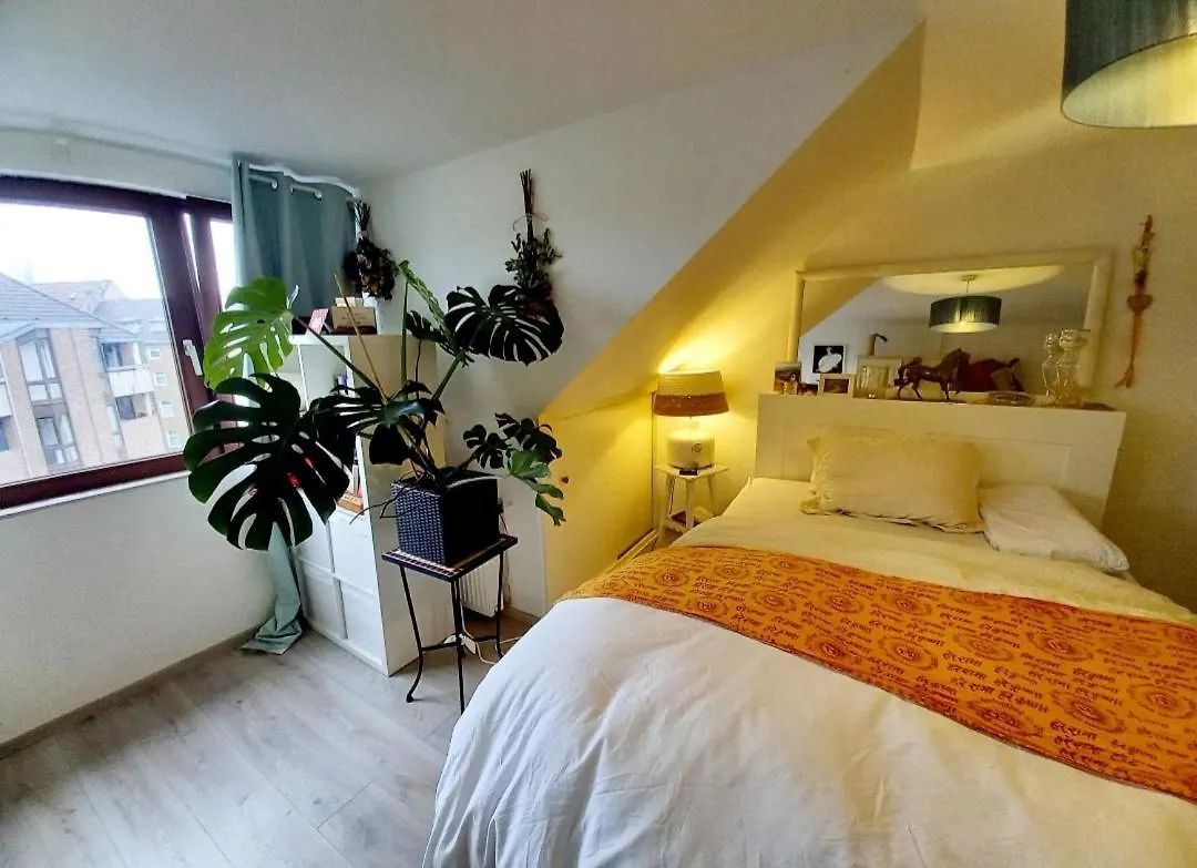 Private Loft Dusseldorf Apartment 0*,  Germany